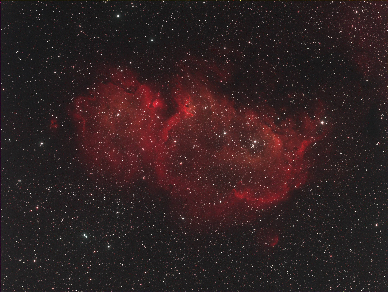 IC1848
